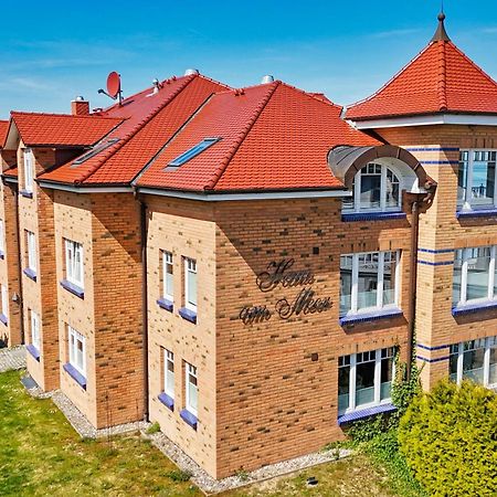 Ferienwohnung Mit Traumhaftem Meerblick - Haus Am Meer Fewo 01 Lohme Exteriör bild