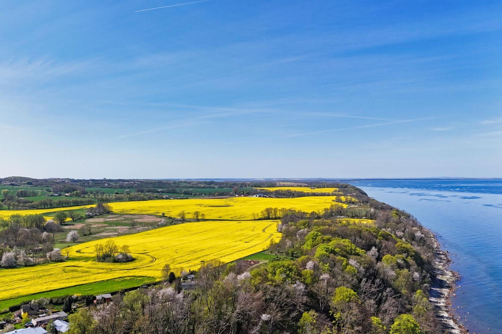 Ferienwohnung Mit Traumhaftem Meerblick - Haus Am Meer Fewo 01 Lohme Exteriör bild